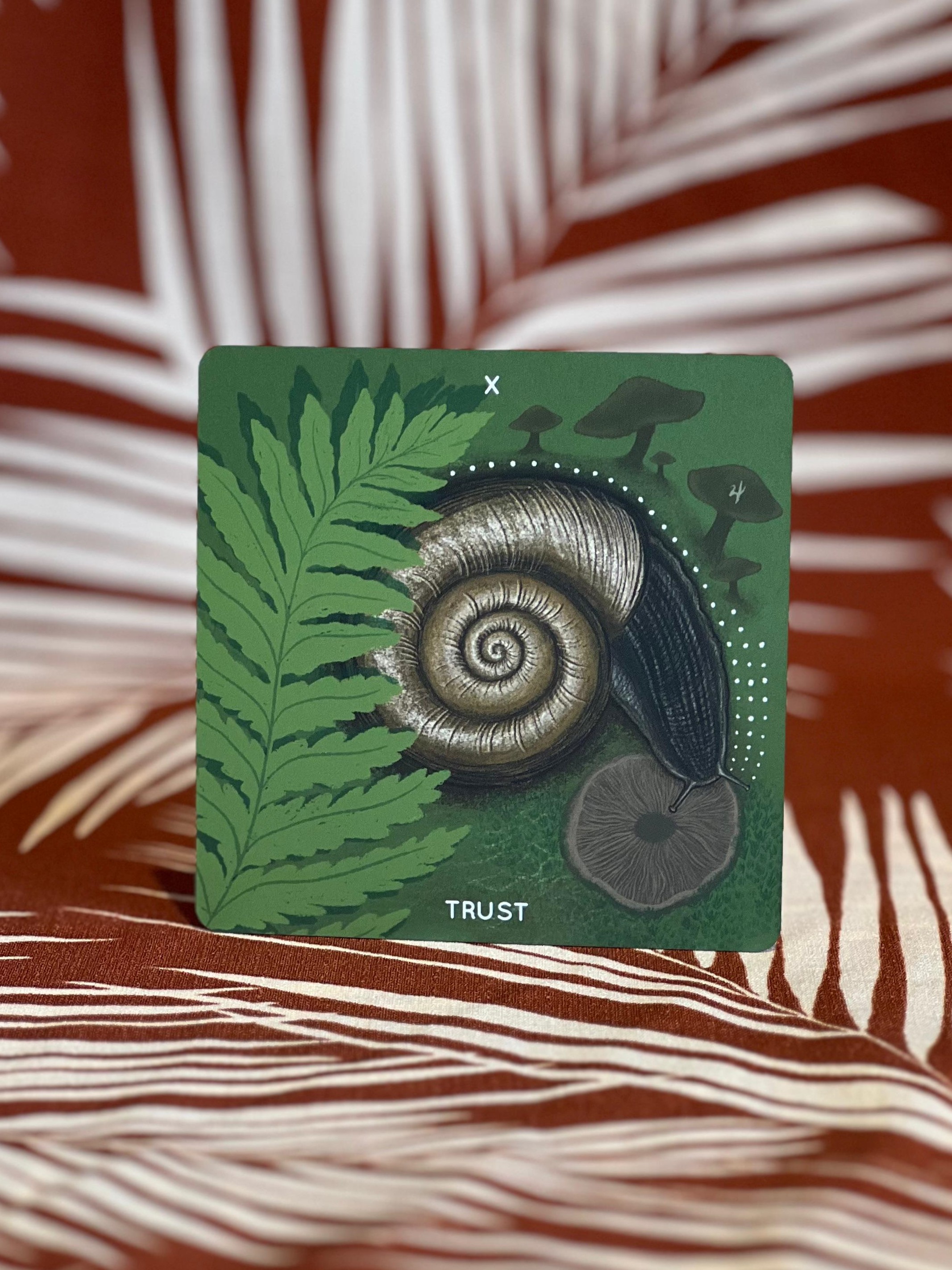 Embodied Ecosystems Tarot and Oracle *Damaged Box* - Image 3