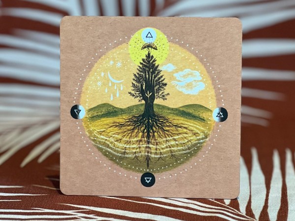 Embodied Ecosystems Tar-Oracle (Damaged Box)