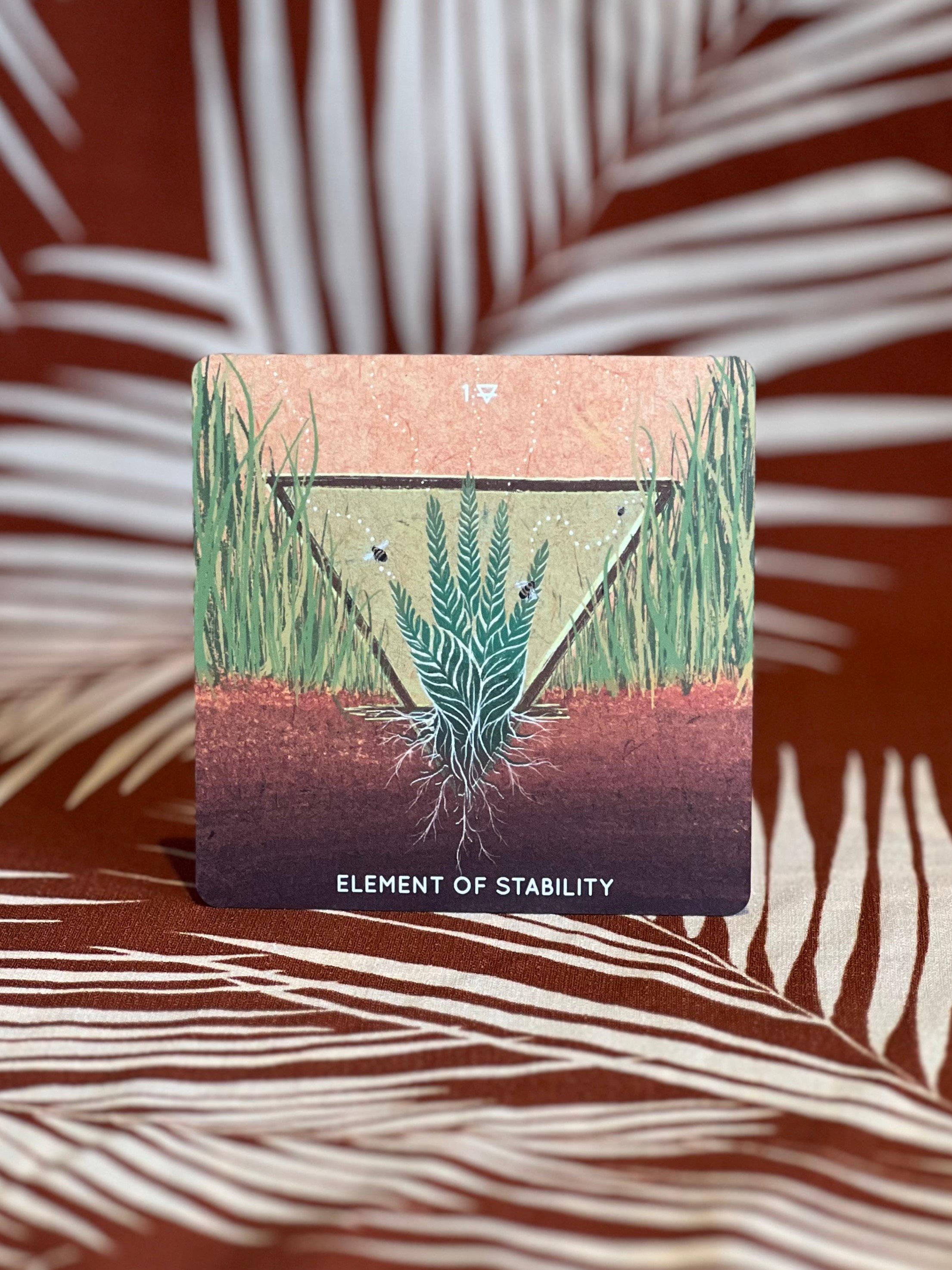 Embodied Ecosystems Tarot and Oracle *Damaged Box* - Image 11