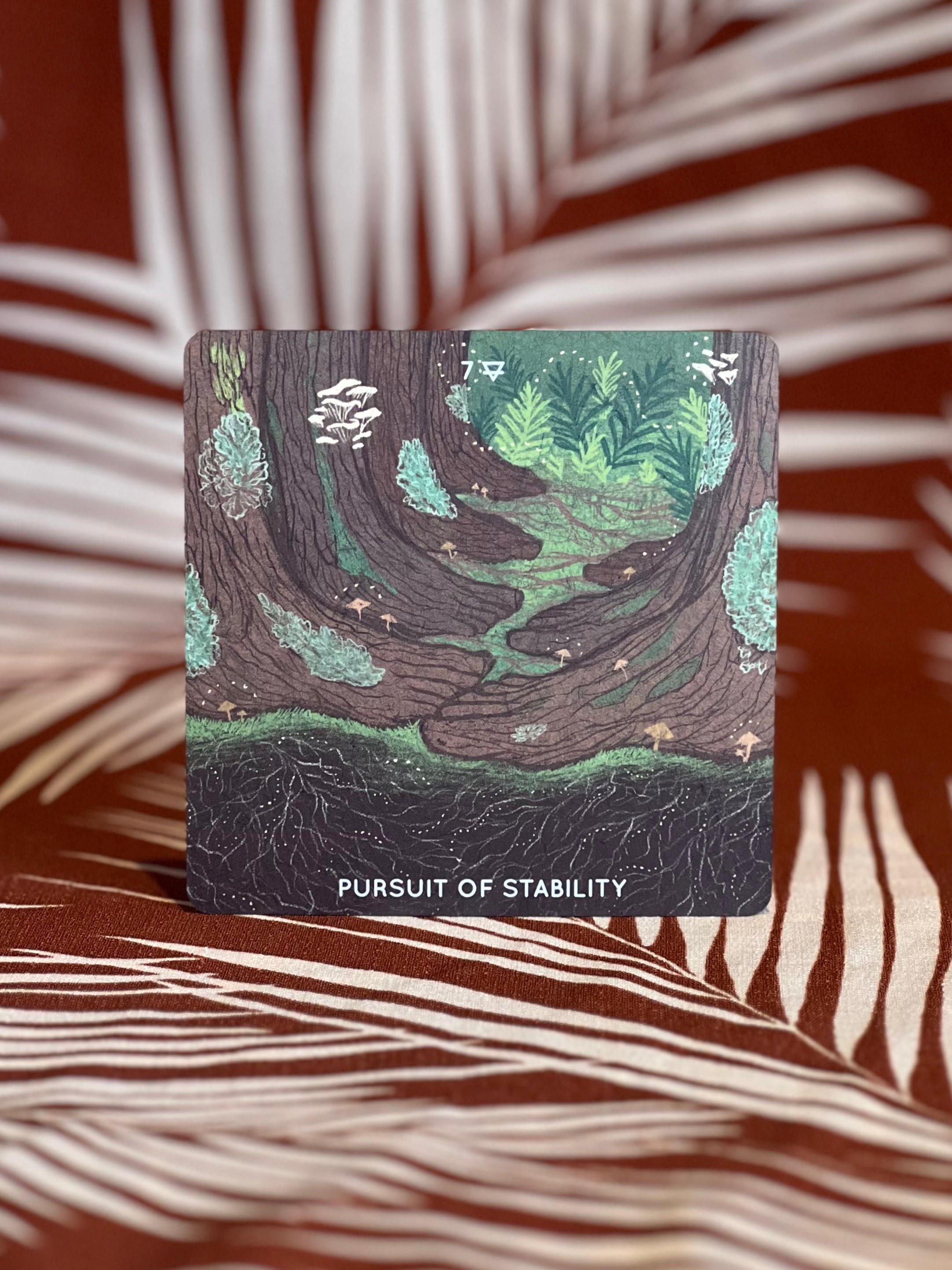 Embodied Ecosystems Tarot and Oracle *Damaged Box* - Image 10