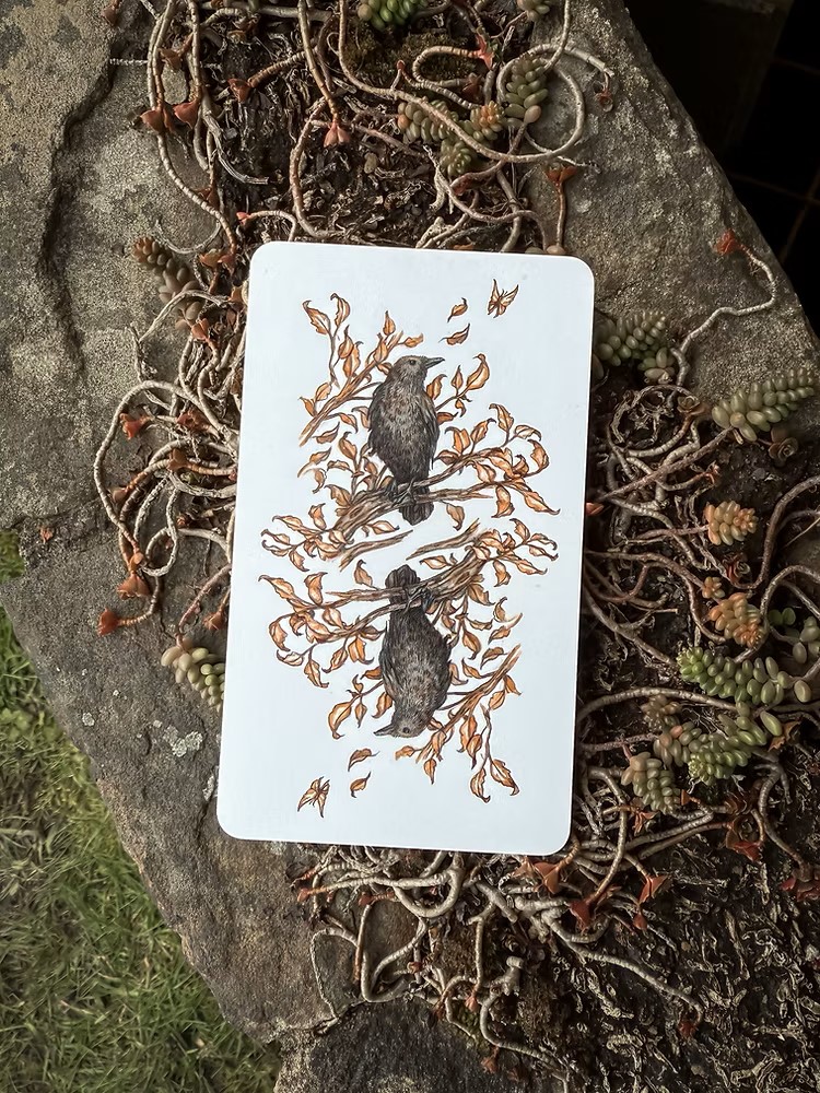Oak, Ash and Thorn Tarot (Volume 1.2)