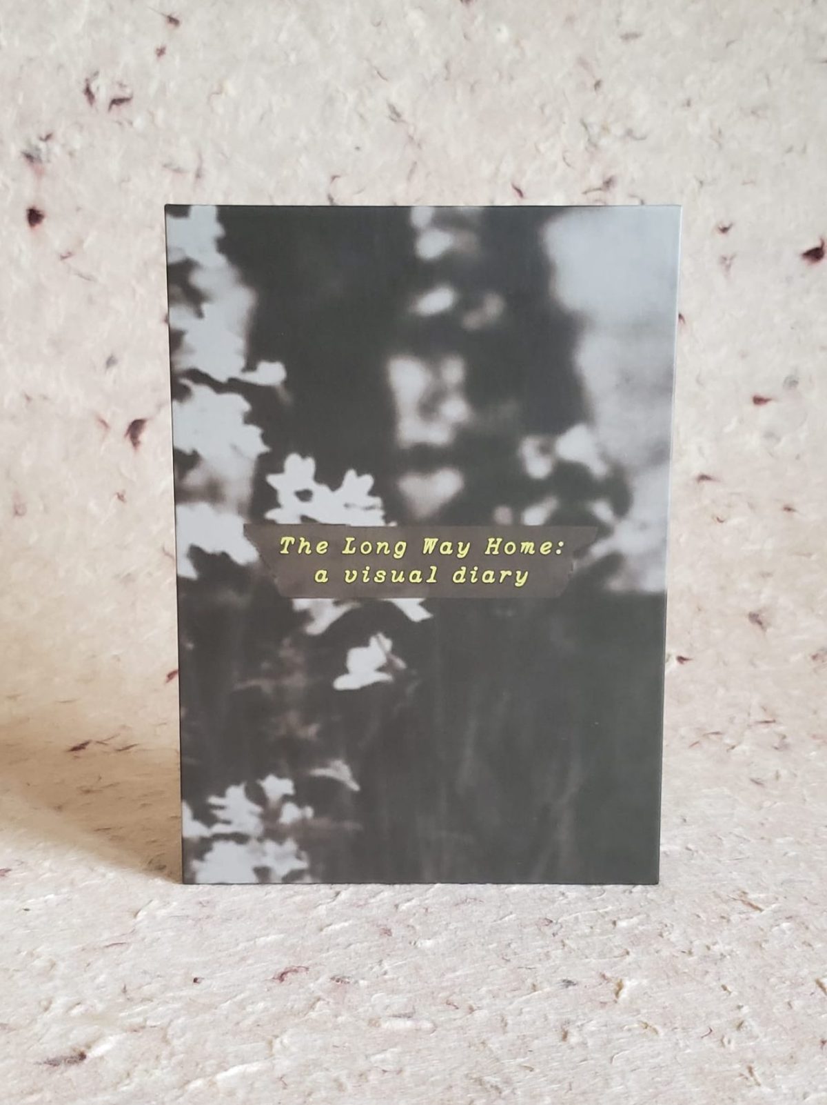 The Long Way Home: A Visual Diary (Matte UV)