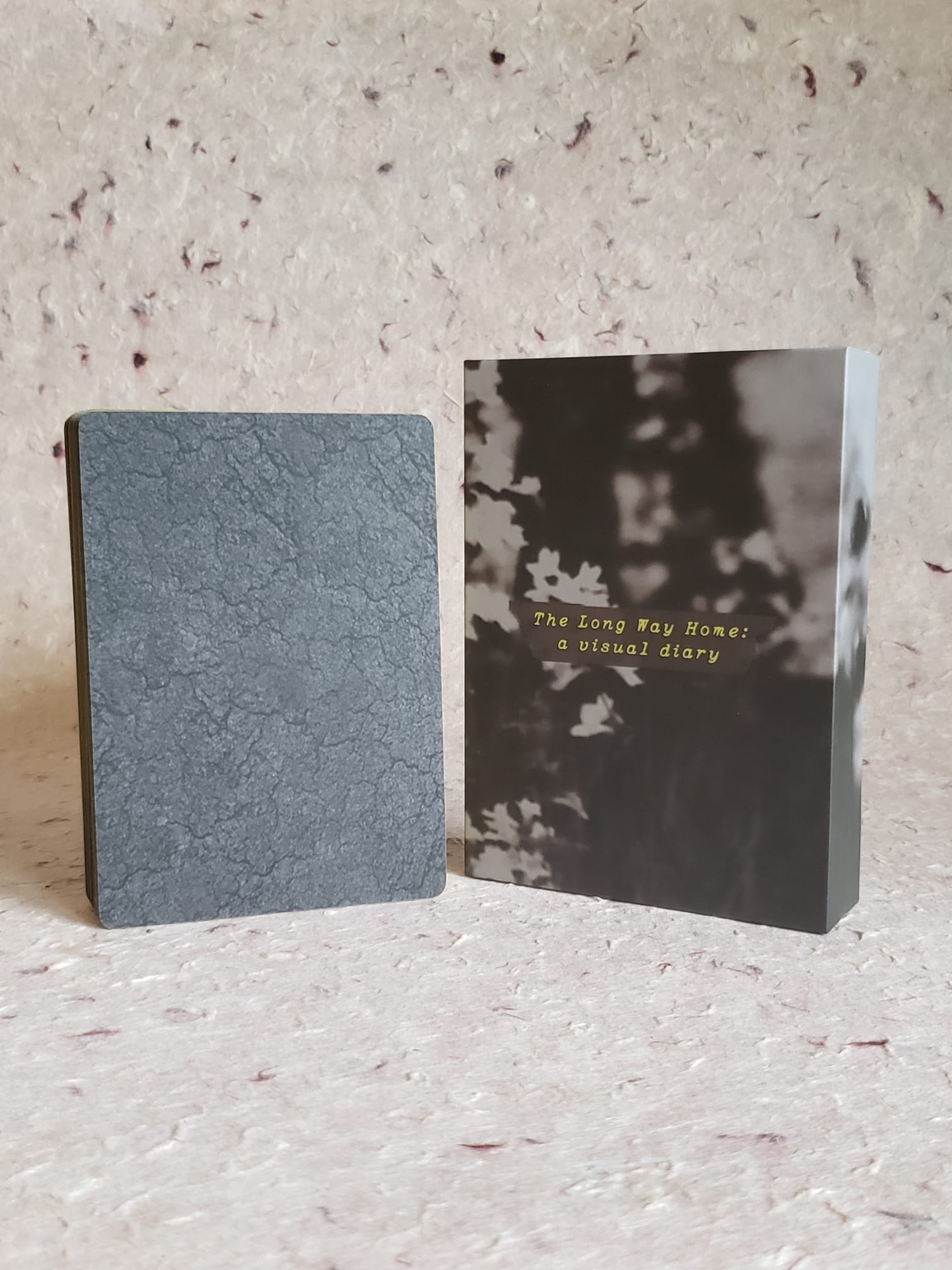 The Long Way Home: A Visual Diary (Matte UV) - Image 2