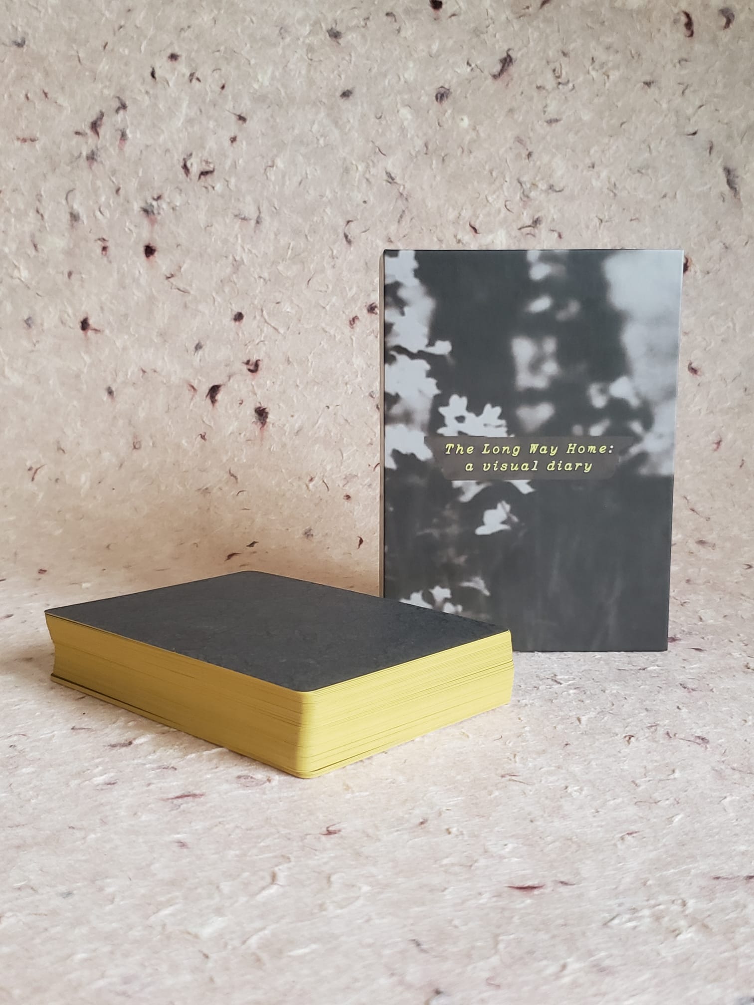 The Long Way Home: A Visual Diary (Matte UV) - Image 3