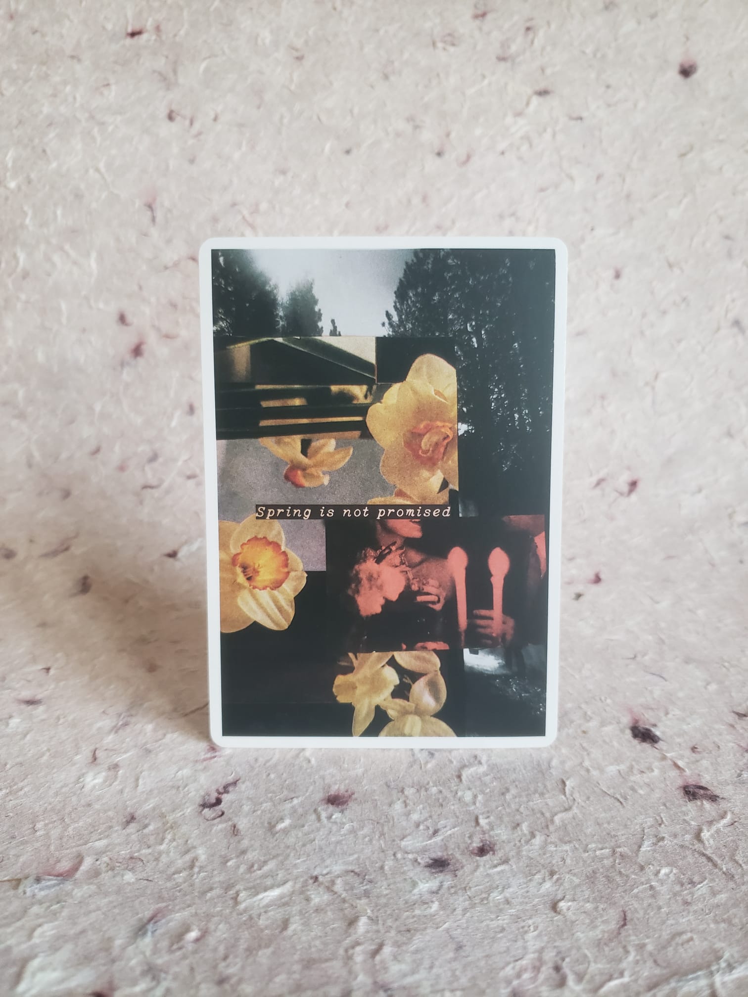 The Long Way Home: A Visual Diary (Matte UV) - Image 7