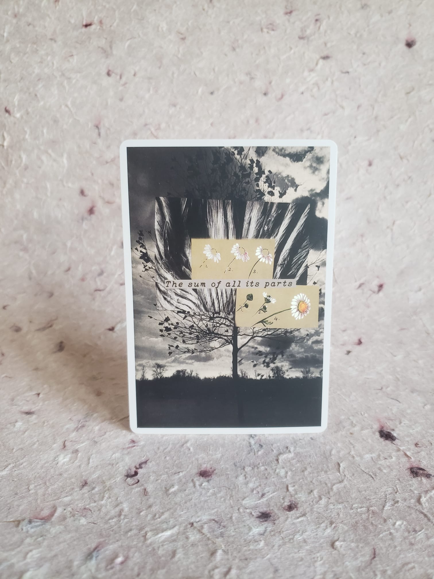 The Long Way Home: A Visual Diary (Matte UV) - Image 9