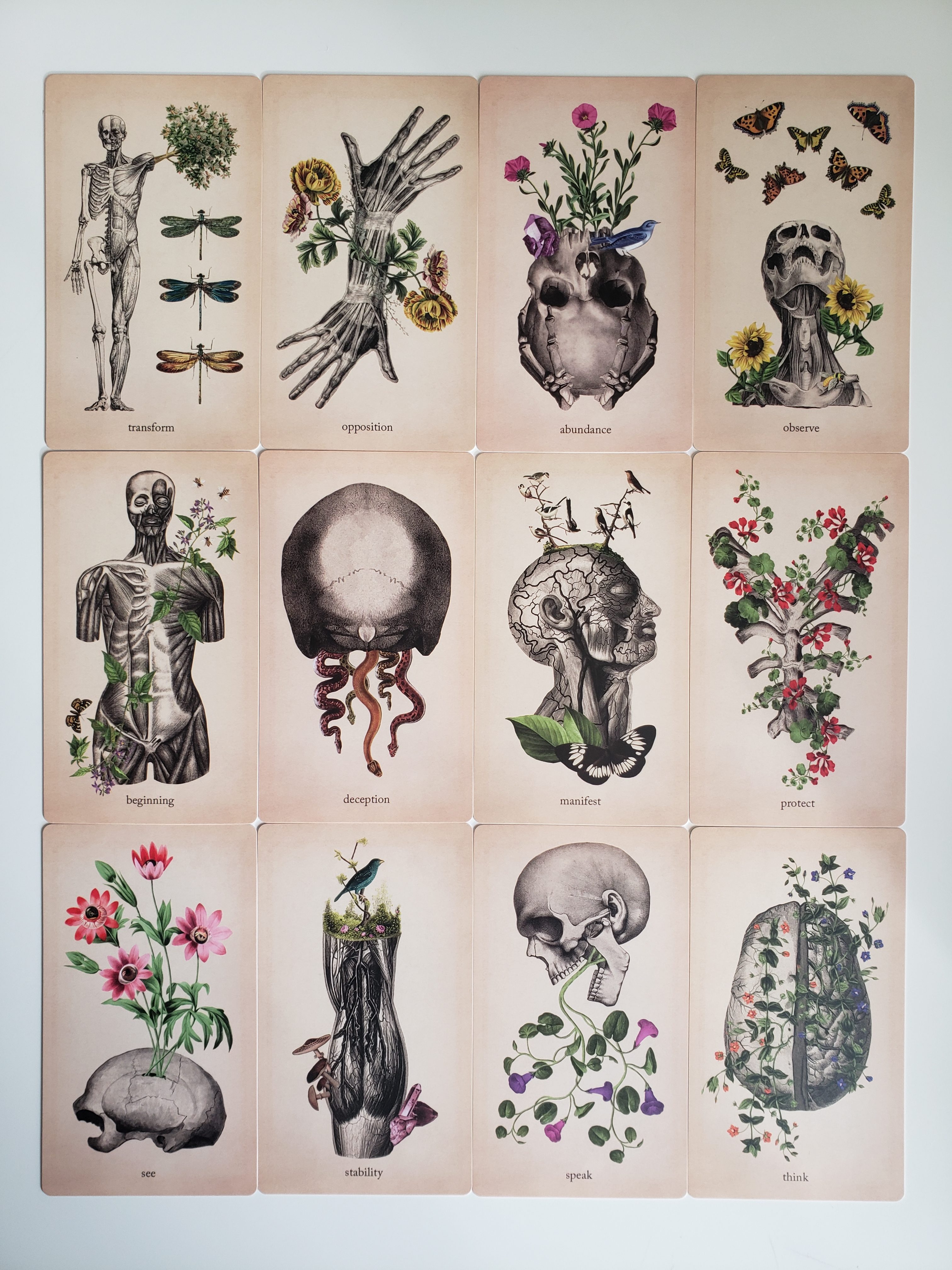 Oracle of Oddities - Image 4