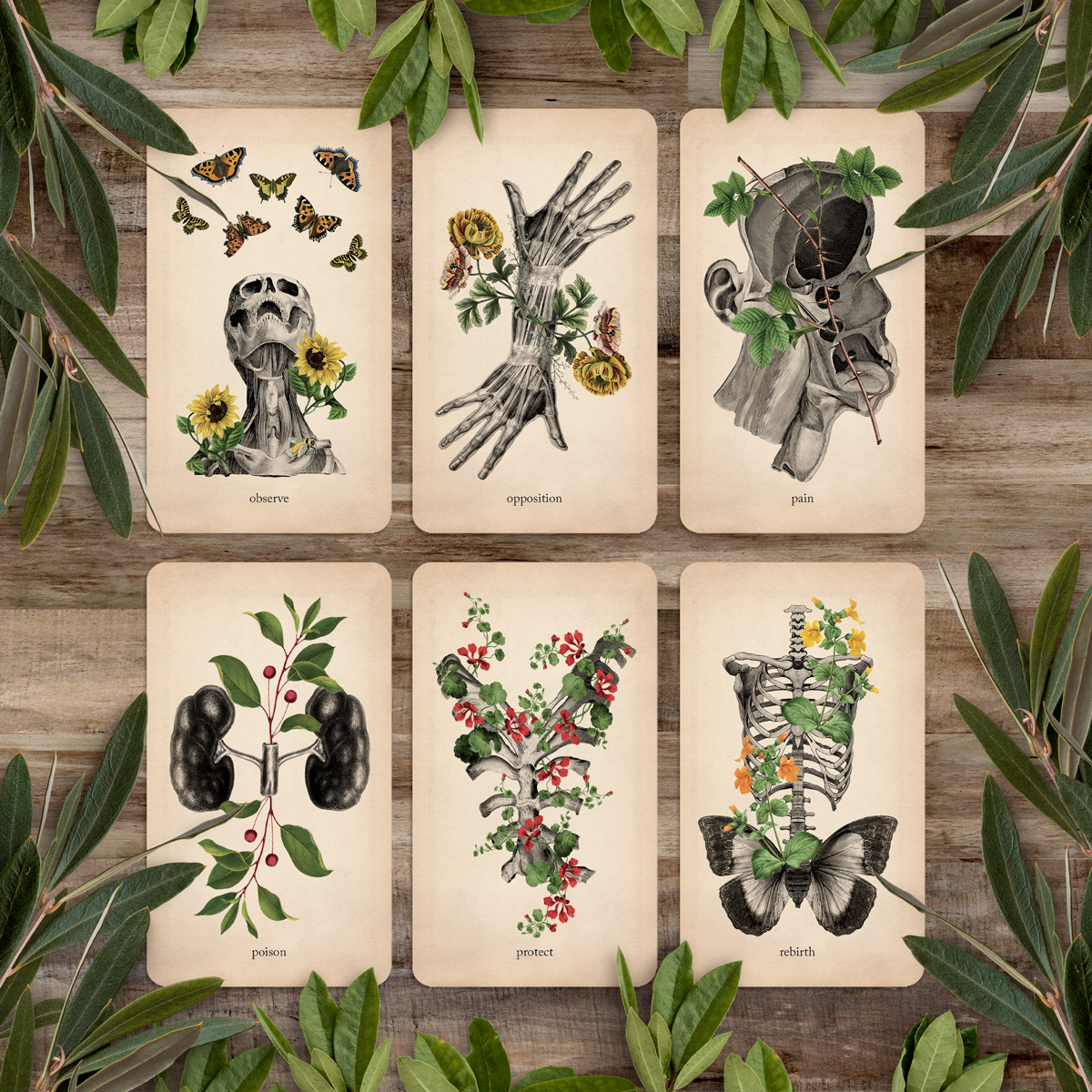 Oracle of Oddities - Image 5