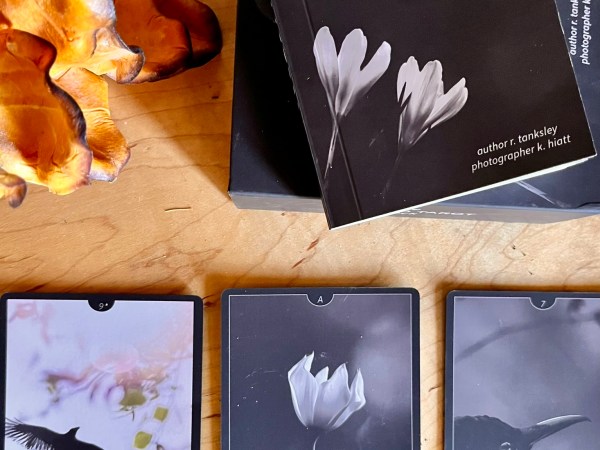 The Altered Tarot Deck & Guidebook (pre-order)